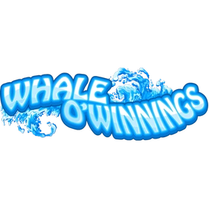 Whale O Winnings Crypto Game